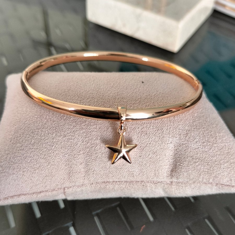 Imagen destacada del producto PUÑERA ESTRELLA ROSE