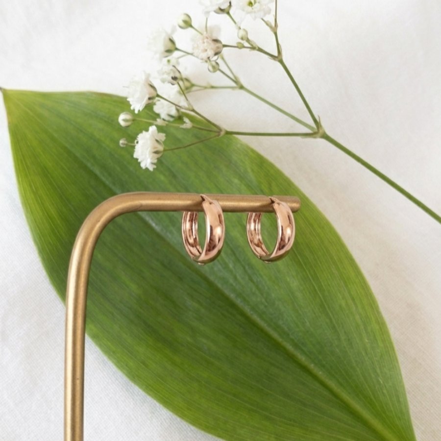 Imagen destacada del producto ARGOLLAS PLANAS ROSE