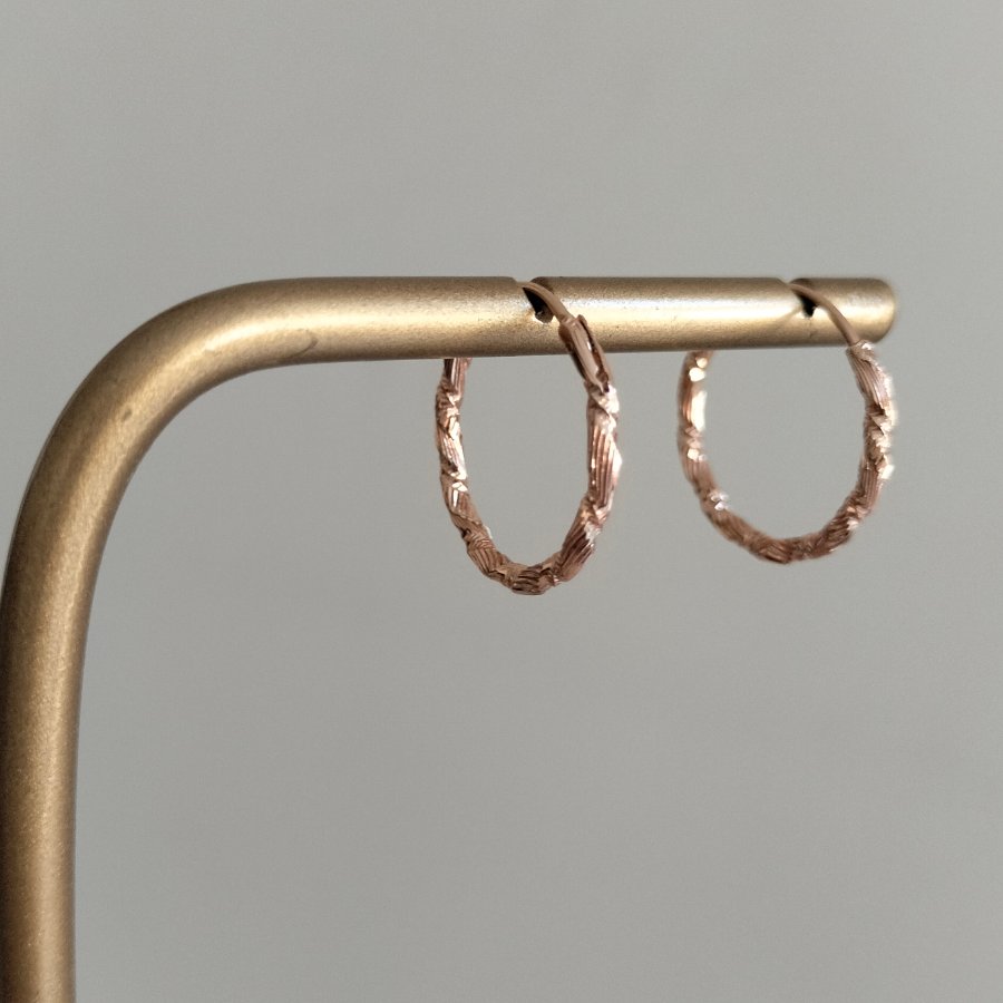 Imagen destacada del producto ARGOLLAS TWIST